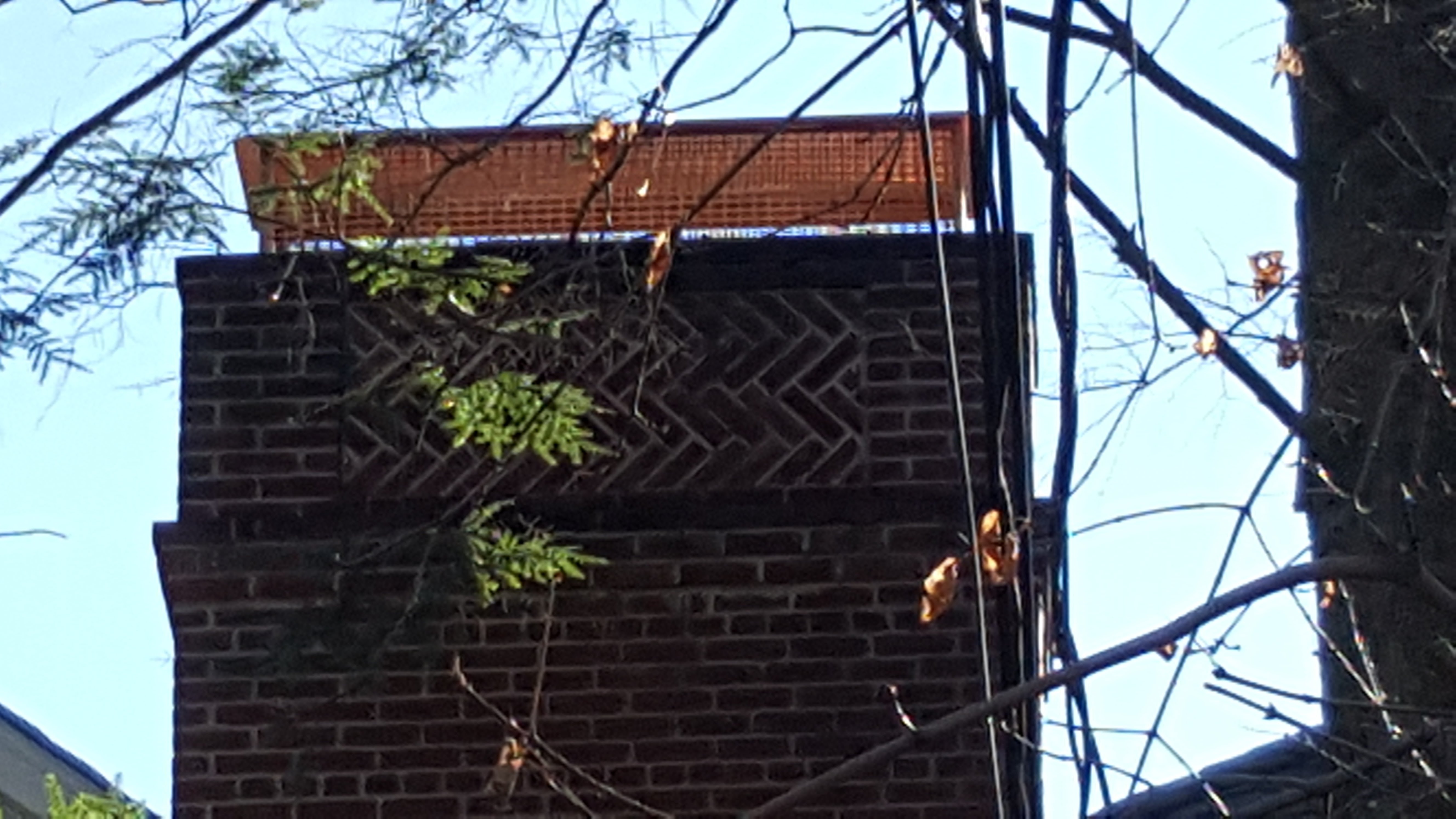 Animal-proof chimney cap protecting home in Central Islip, New York